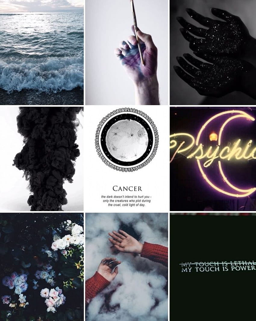 Zodiac Aesthetics. Astrology cancer, Zodiac signs cancer, Cancer + core + aesthetic HD phone wallpaper