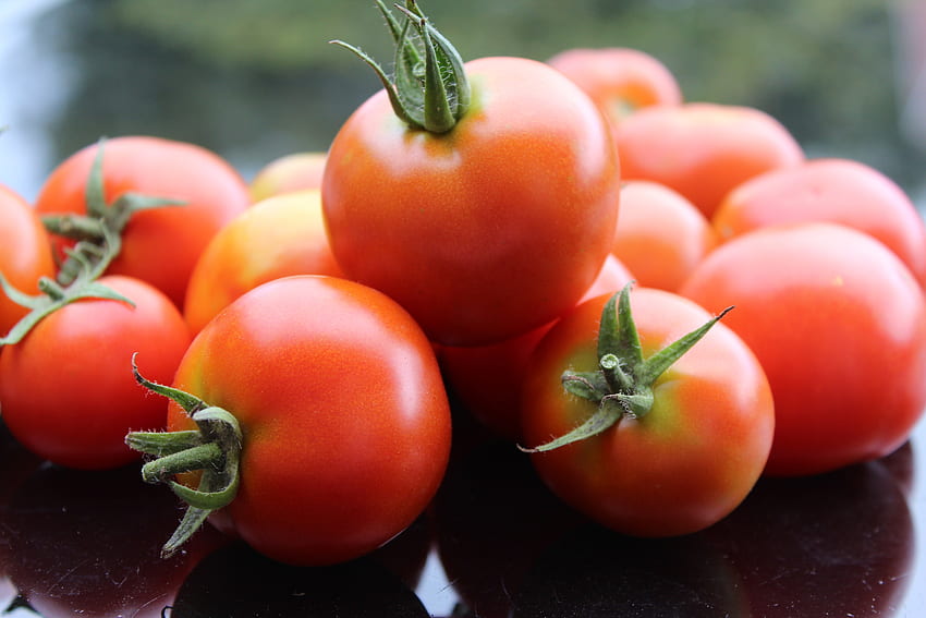 Food, Vegetables, Ripe, Tomato HD wallpaper