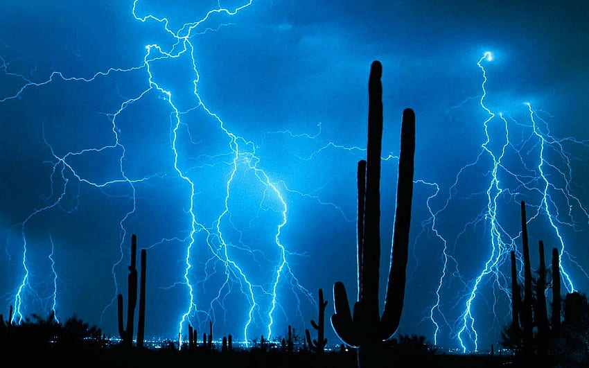 사막의 폭풍, 번개, 사막, 폭풍, 선인장 HD 월페이퍼