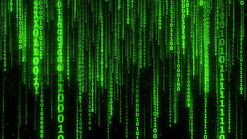 the matrix wallpaper gif