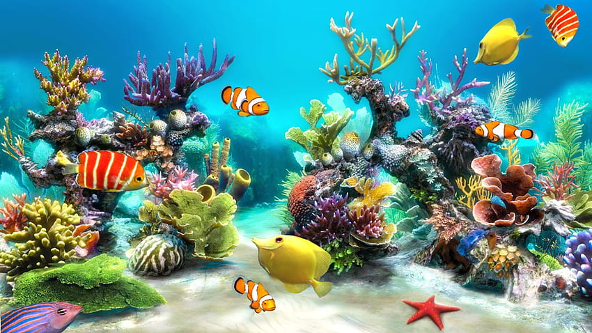 Aquarium Animated : Tangki ikan untuk windows 10 Wallpaper HD