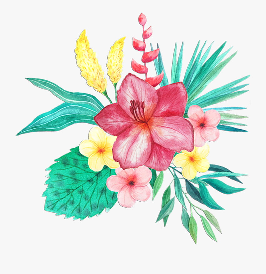 Flor Tropical Aquarela PNG, Clipart Transparente Papel de parede de celular HD