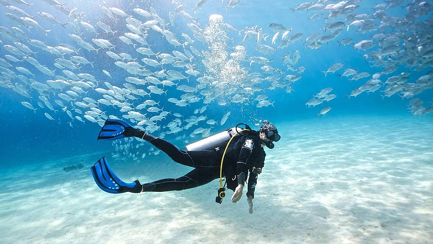 Scuba Diving High Resolution, Deep Sea Diver HD wallpaper | Pxfuel
