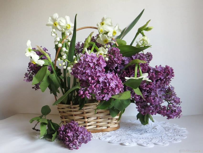 Basket of Lilacs, basket, lilacs, nature, flowers HD wallpaper