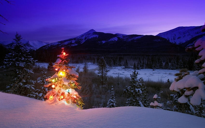 クリスマスツリー、冬、ライト、クリスマス、山、木 高画質の壁紙