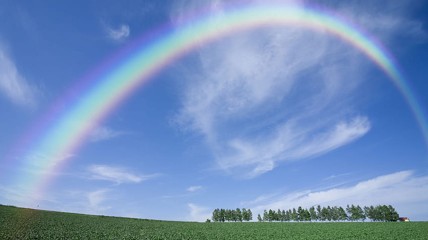 rainbow, sky, clear, from below, arch HD wallpaper