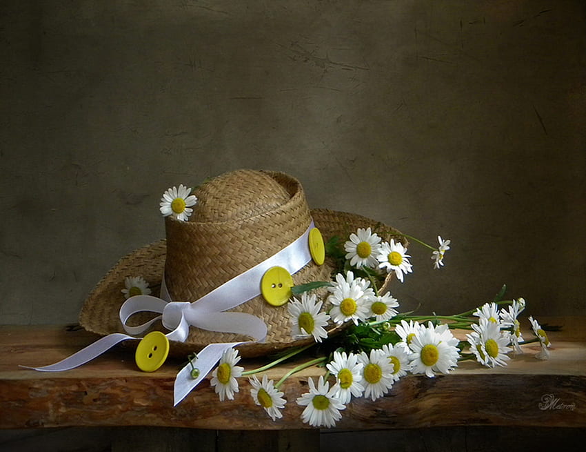 Stilleben, Blumen, Knöpfe, Hut, Gänseblümchen HD-Hintergrundbild
