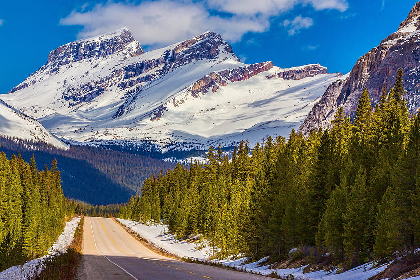 Natura, Montagne, Neve, Canada, Strada, Dahl, Distanza, Albert, Alberta, Parco Nazionale di Banff Sfondo HD