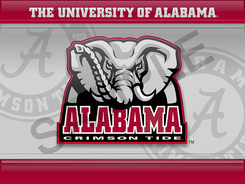 Université de l'Alabama - Alabama Crimson Tide - - teahub.io, Alabama Football Logo Fond d'écran HD