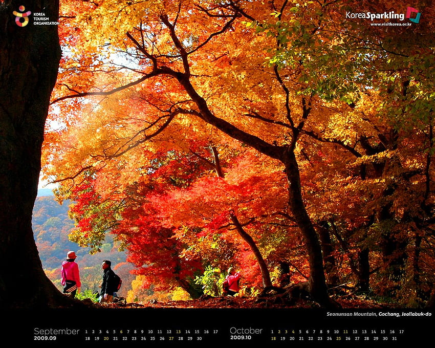 Official Site Of Korea Tourism Org.: _2009_SEP OCT, Korea Fall HD wallpaper