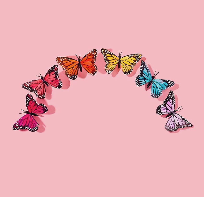 Aesthetic Butterfly Backgrounds HD  PixelsTalkNet