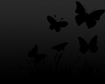 Butterfly black and white background HD wallpapers | Pxfuel