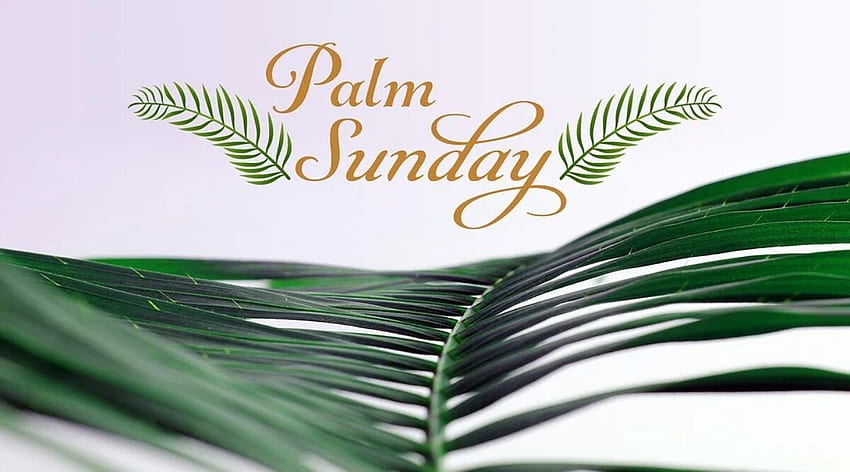 Happy Palm Sunday 2020 and For HD wallpaper | Pxfuel