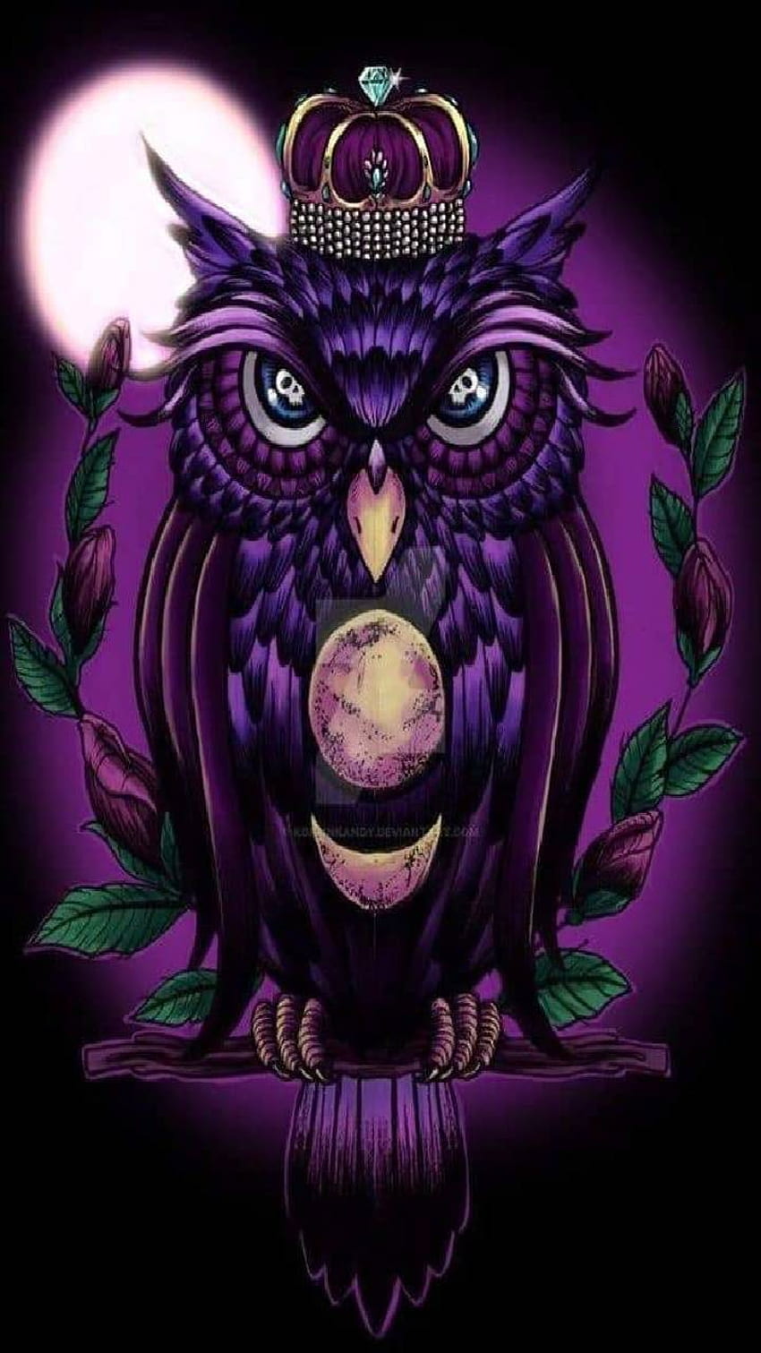 Purple Owl HD phone wallpaper