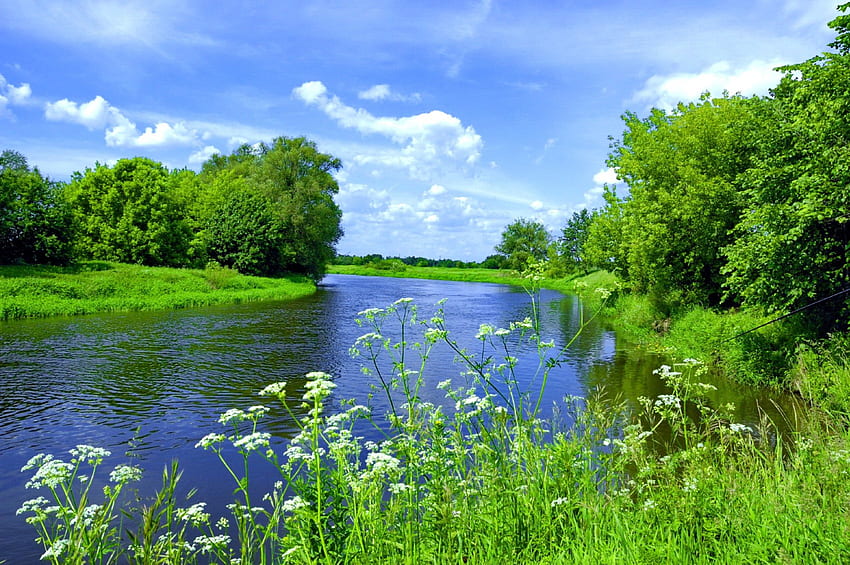 ฉากแม่น้ำ แม่น้ำ สวยงาม หญ้า เงียบสงบ ชายฝั่ง ทิวทัศน์ เมฆ ต้นไม้ เขียวขจี ธรรมชาติ ท้องฟ้า ริมฝั่งแม่น้ำ เงียบสงบ สตรีม วอลล์เปเปอร์ HD