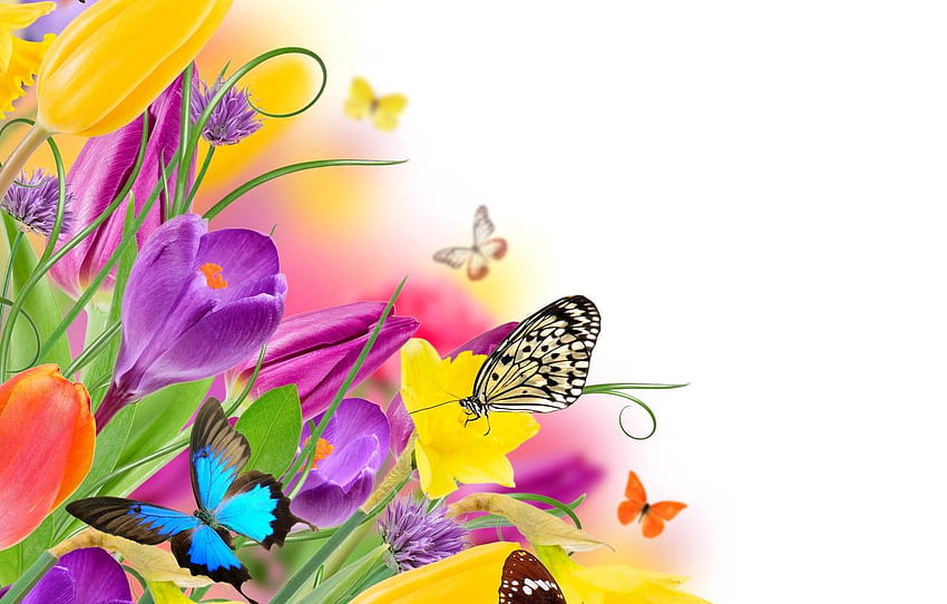 пеперуда, цветя, пролет, цветни, лалета, свежи, жълти пеперуди HD тапет