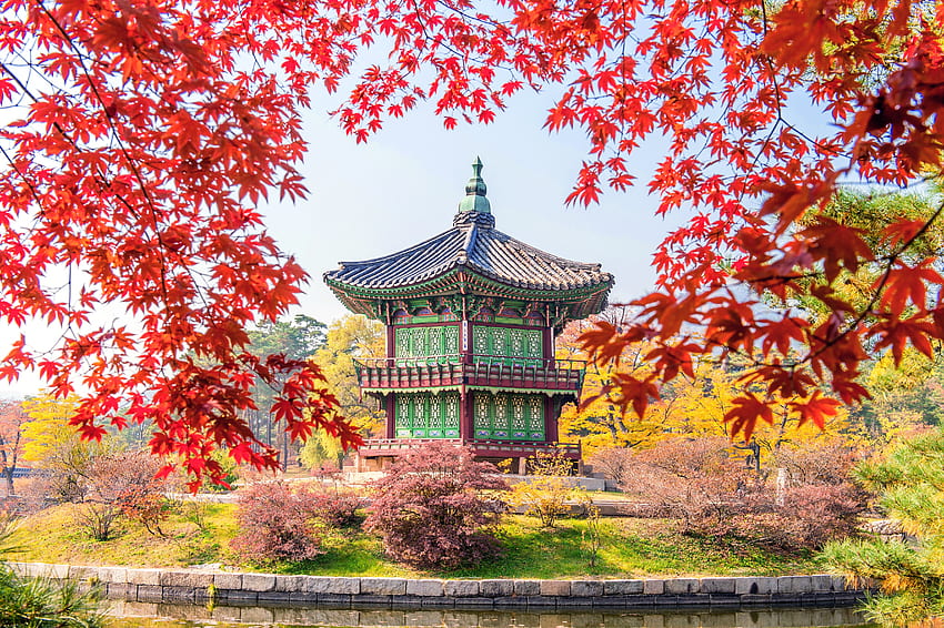 Autunno nel palazzo di Gyeongbokgung, foglie di acero, foglie, Corea, castello Sfondo HD