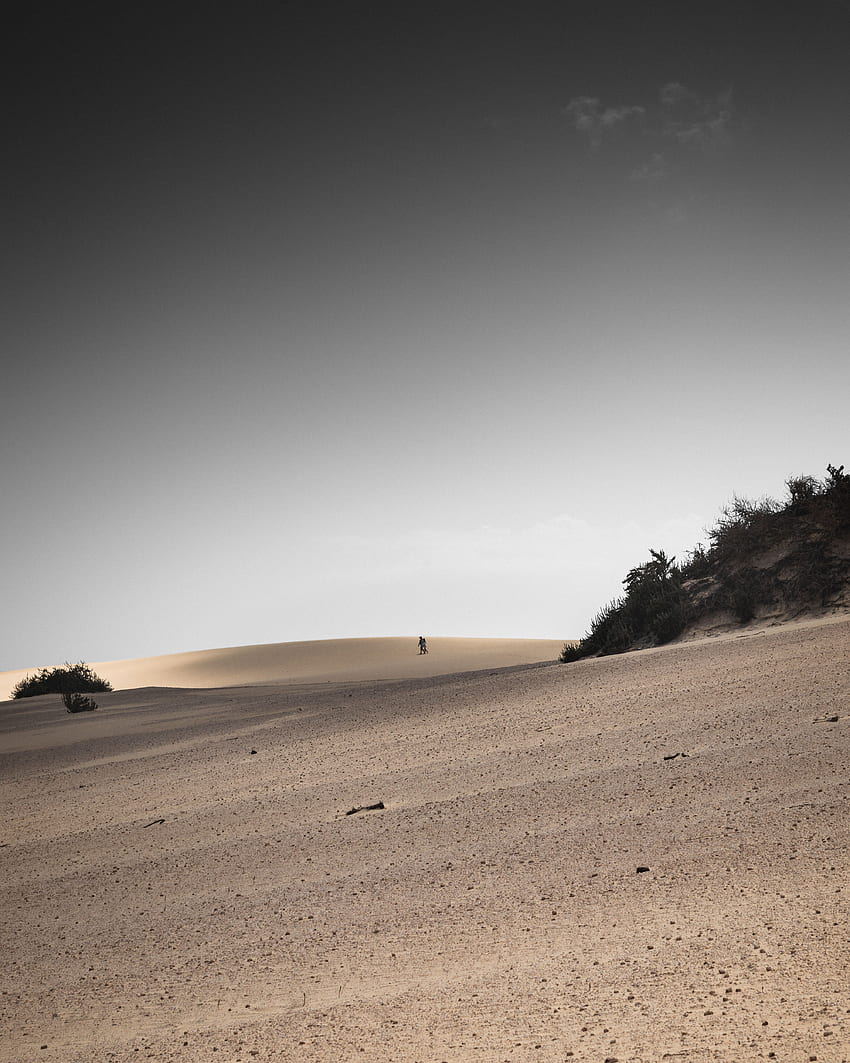 ภูมิทัศน์ ธรรมชาติ ทราย ทะเลทราย เงา เนินเขา วอลล์เปเปอร์โทรศัพท์ HD