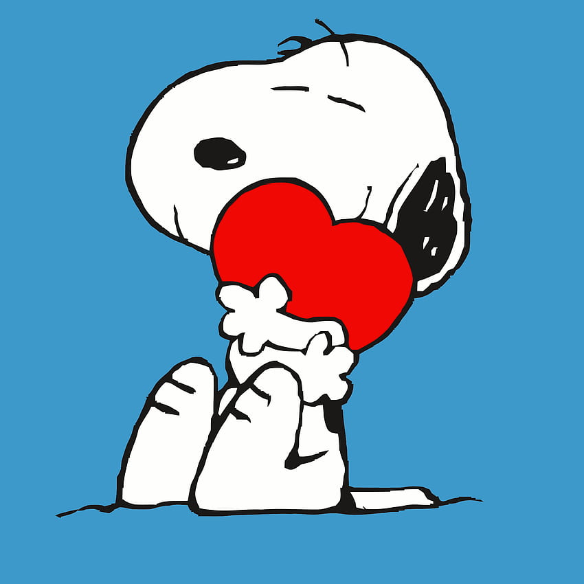 Simple Snoopy wallpaper for iPhone 6  riWallpaper