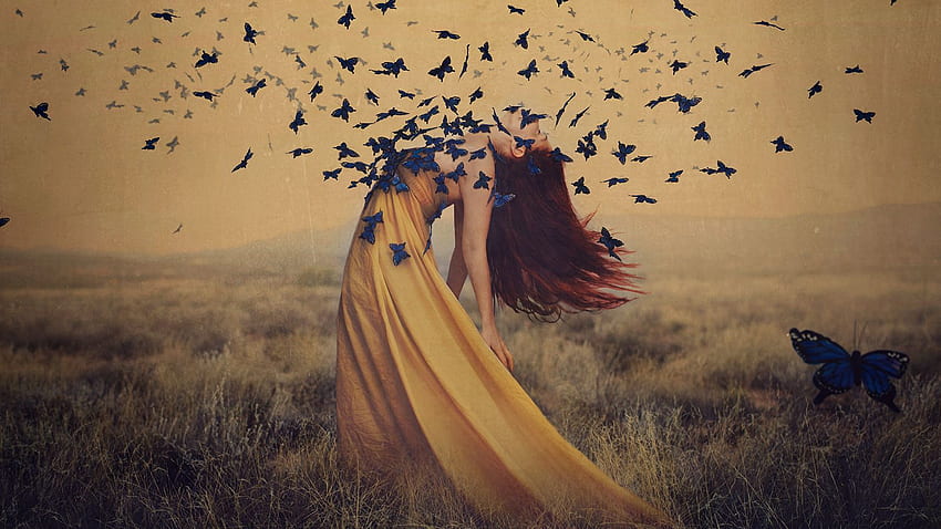 Fine Art graphy: The Complete Guide with Brooke Shaden HD wallpaper ...