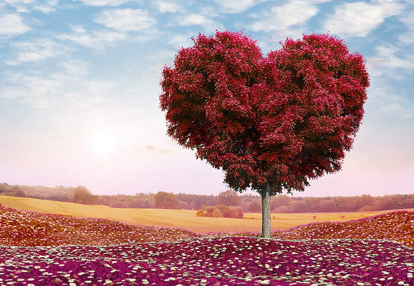Daun, Cinta, Kayu, Pohon, Hati, lompat Wallpaper HD