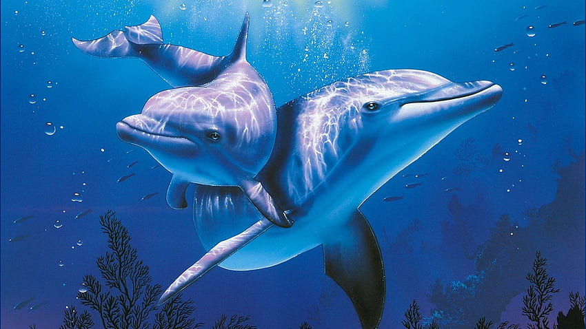Ocean Animals Wallpaper Images  Free Download on Freepik