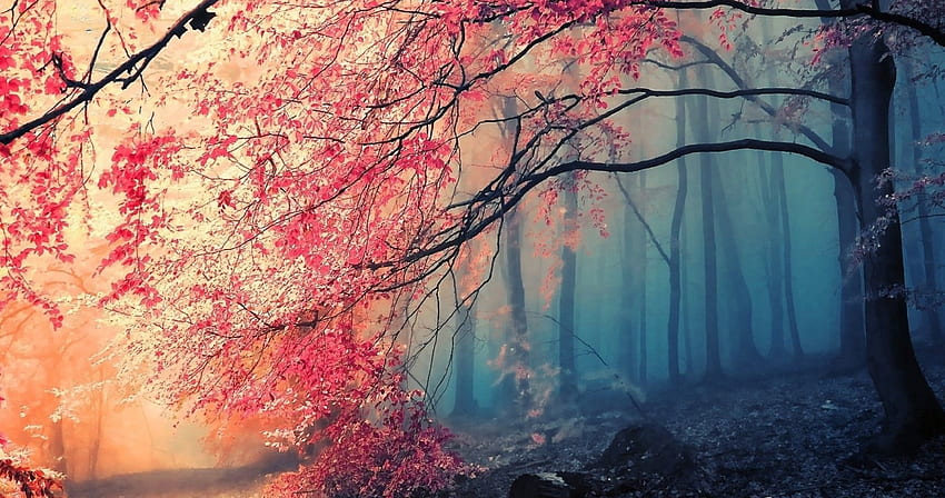 flor roja árbol selva bosque ultra. ololoshenka, Bosque Oscuro Ultra fondo de pantalla