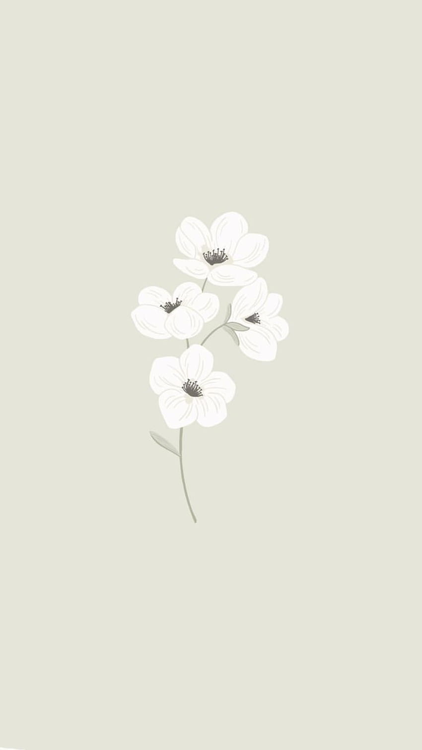 Aisyah Benmahfouz pada . Bunga, Bunga Antik , Minimalis, Kartun Bunga Estetis wallpaper ponsel HD