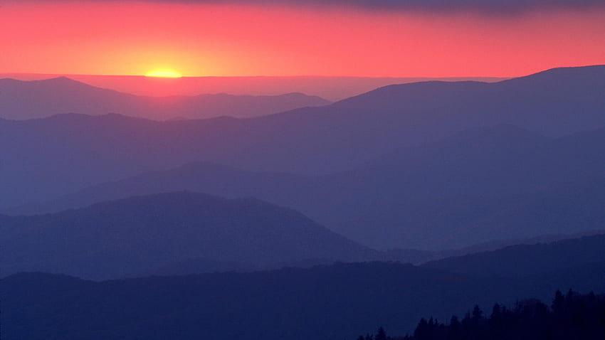 Great Smoky Mountains National Park 800 X 450 351 Kb [] for your , Mobile & Tablet. Explore Smoky Mountains Spring . NC Mountains HD wallpaper