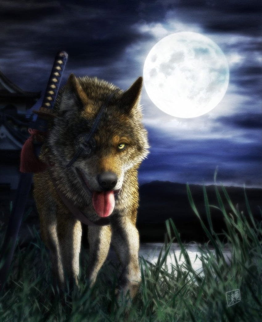 Samurai Wolf HD phone wallpaper