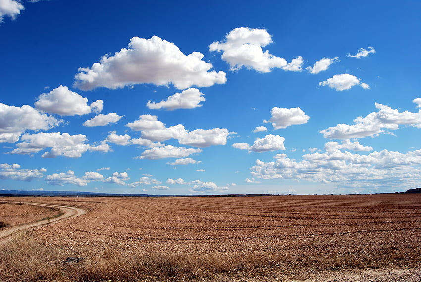 Nature, Grass, Sky, Clouds, Road, Field HD wallpaper