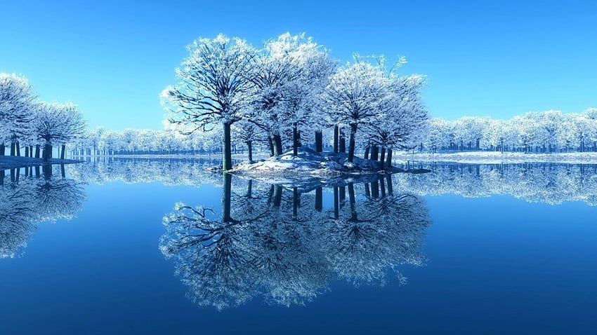 Inverno: rami di cielo ghiacciato specchiato acqua limpida lago ghiacciato, inverno calmante Sfondo HD