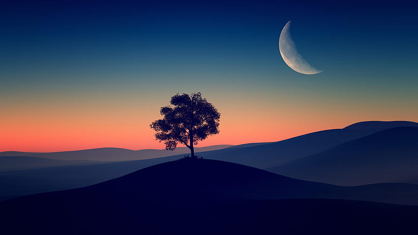 Tree Alone Dark Evening : : High Definition : Fullscreen, Ultra High  Resolution Dark HD wallpaper | Pxfuel