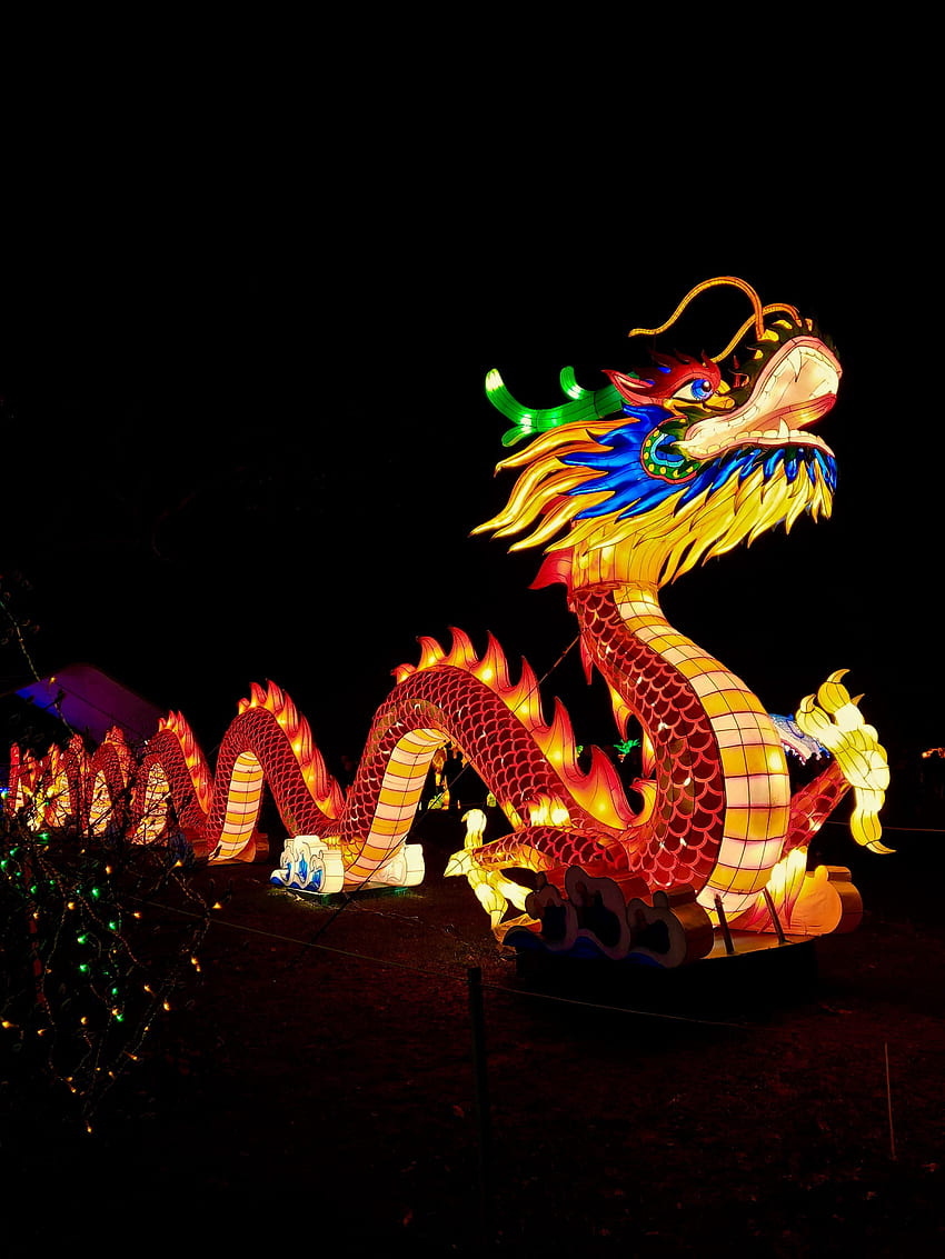 Dragon chinois, Dragon rouge chinois Fond d'écran de téléphone HD