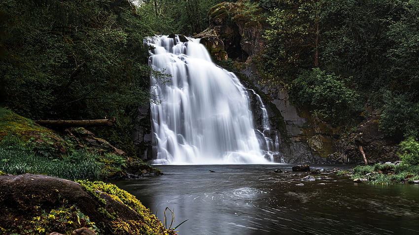 Youngs River Falls, Oregon, river, trees, cascade, rocks, usa HD wallpaper