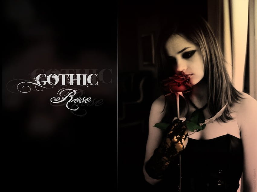 Gothic Rose, rose, gothic, goth, curtain, woman HD wallpaper