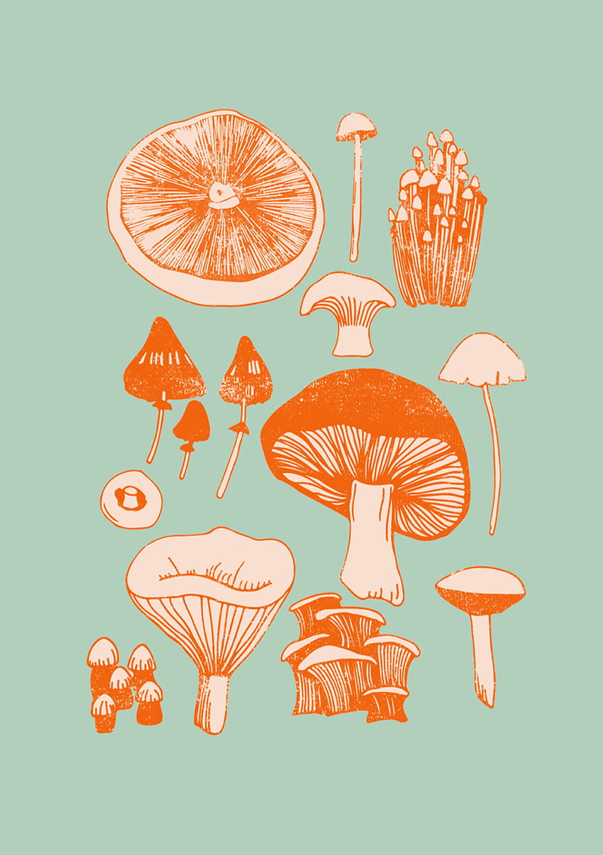 Cetakan dinding jamur jamur. Seni Jamur, Seni Jamur, Seni Cetakan, Katak Jamur wallpaper ponsel HD