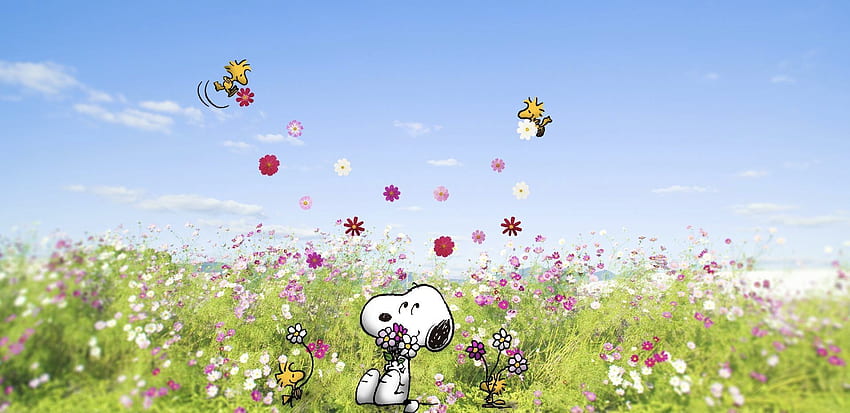 Snoopy, primavera de Snoopy fondo de pantalla