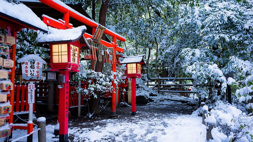 신사, 도리이 게이트, 교토, 일본, 일본 겨울 HD 월페이퍼