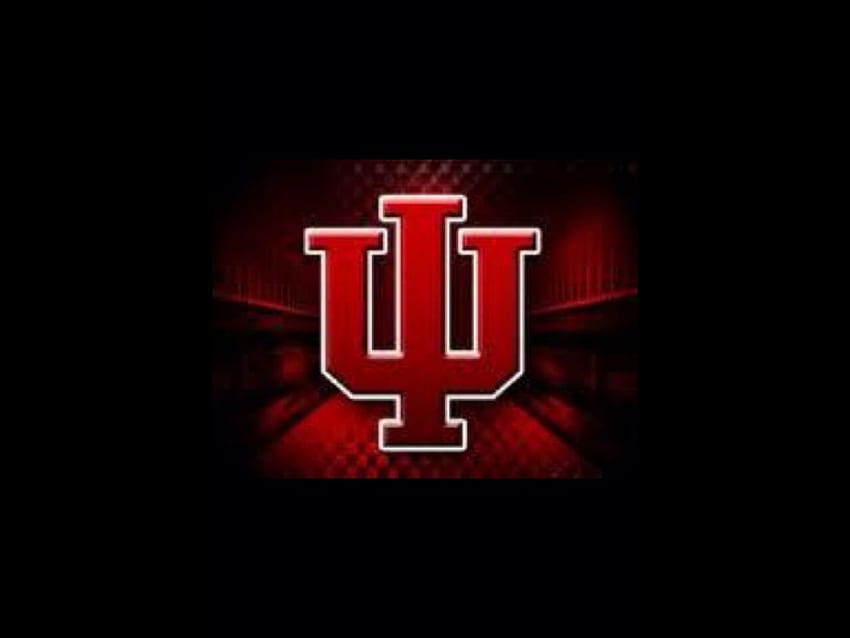 Idź IU!. Iu Hoosiers, Indiana Hoosiers, Indiana University, Indiana University Basketball Tapeta HD