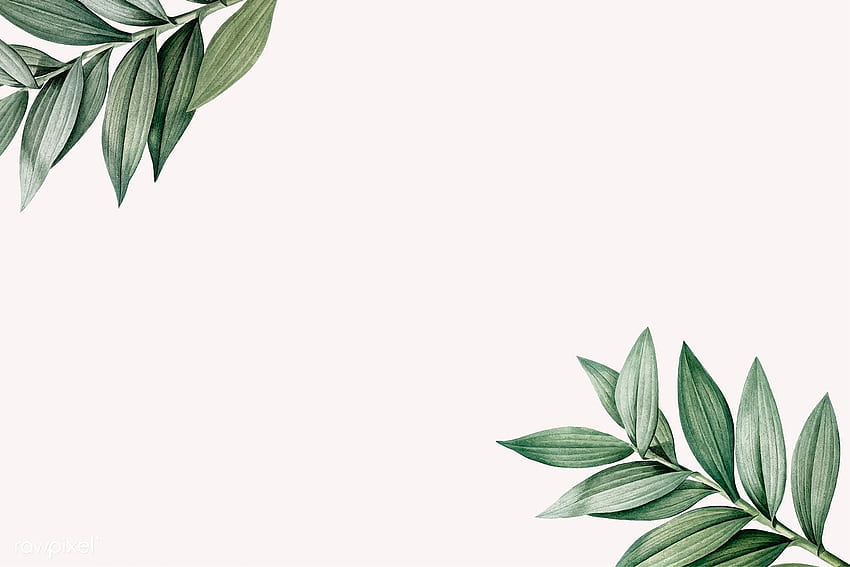 vektor premium ilustrasi latar belakang daun botani Tropis. Lucu, seni, latar belakang Daun, Daun Estetis Wallpaper HD