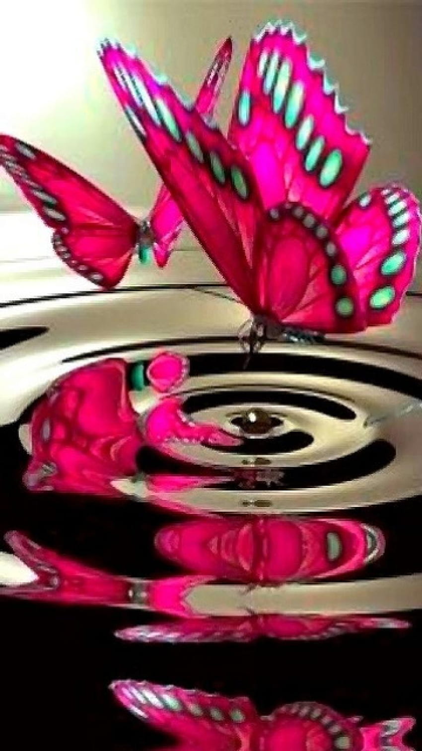 The Best Wallpapper: Love Butterfly HD phone wallpaper | Pxfuel