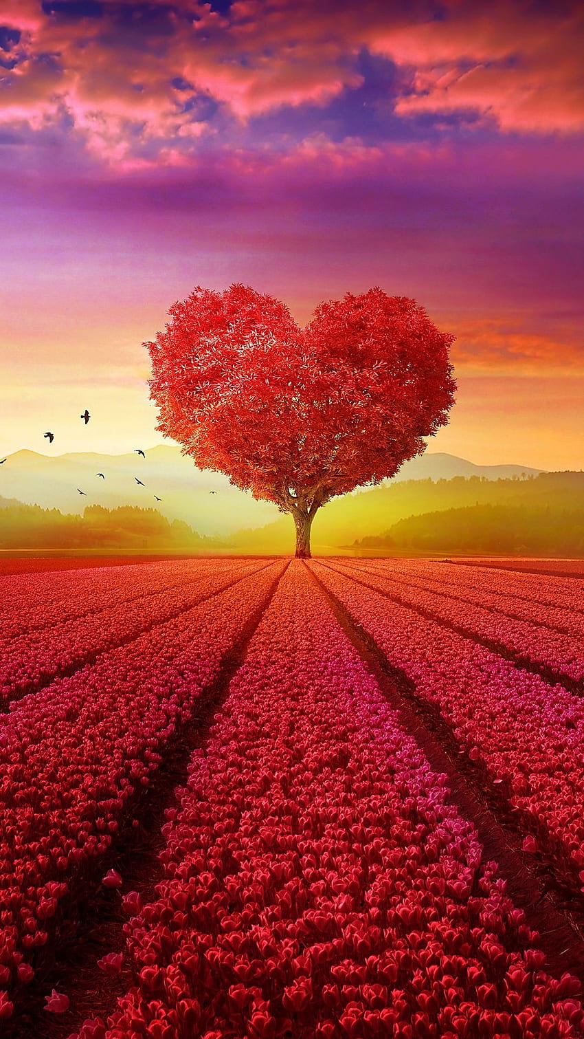 Schönes Herz, Liebe, Herz HD-Handy-Hintergrundbild