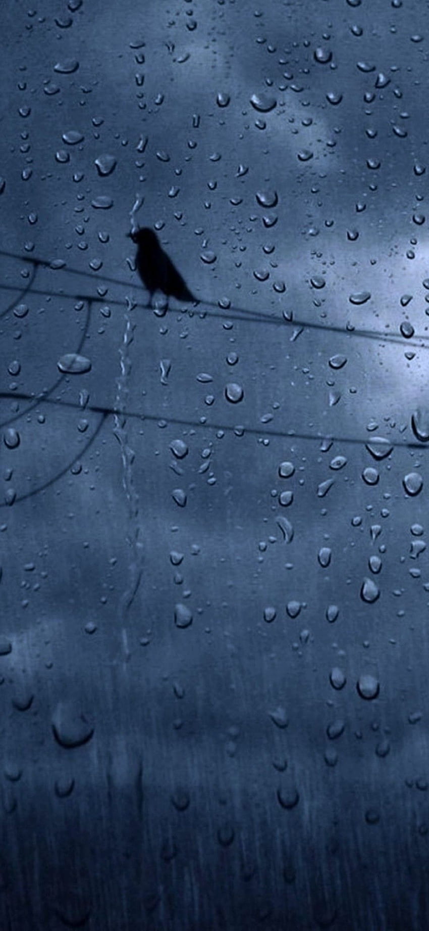 Rain, Crows, Weather for Xiaomi Mi 9, Rainy Weather HD phone wallpaper