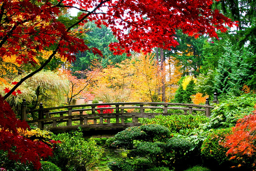 Japanese garden, Painting, Leaves, Autumn, Trees, Bridge HD wallpaper