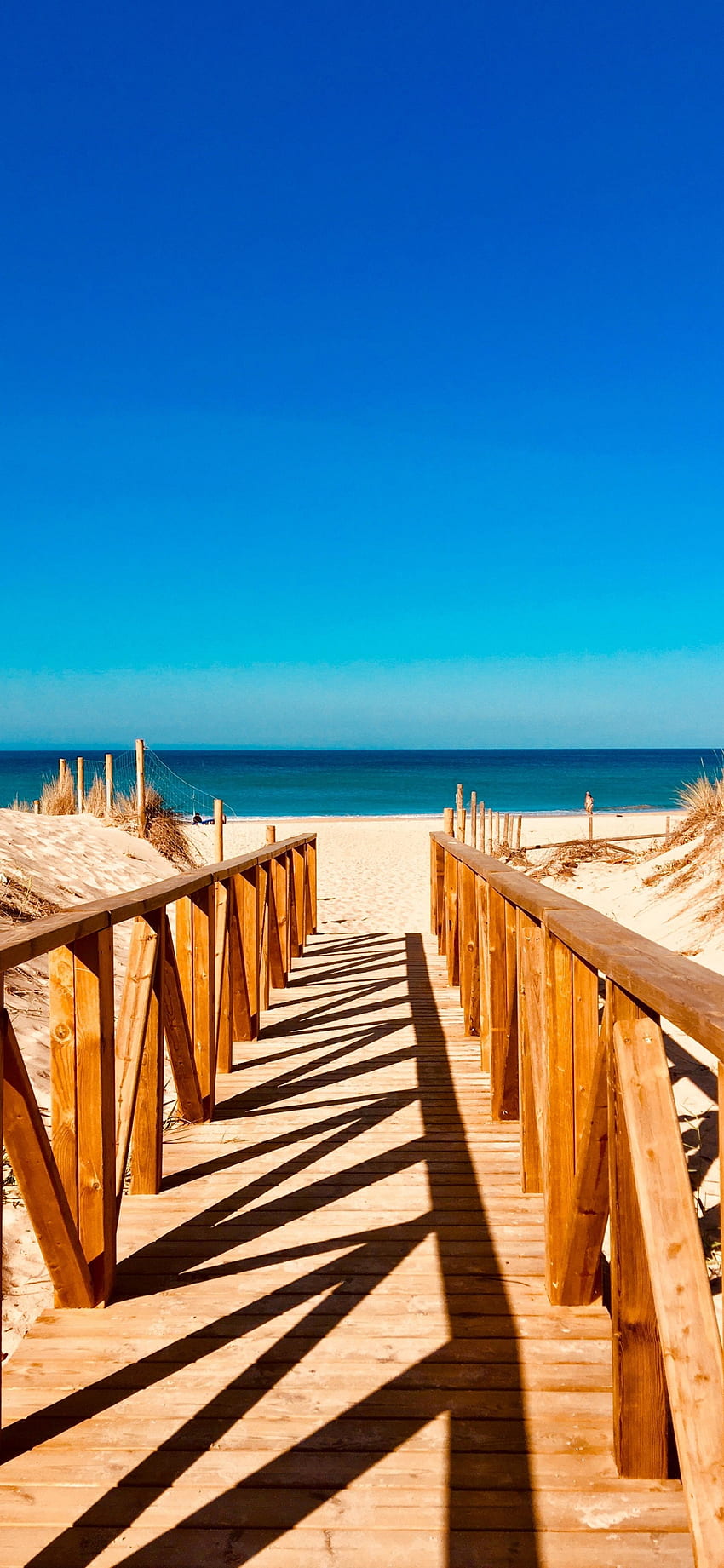 wooden dock, sea, beach, sunny day, iphone x , background, 19112 HD phone wallpaper