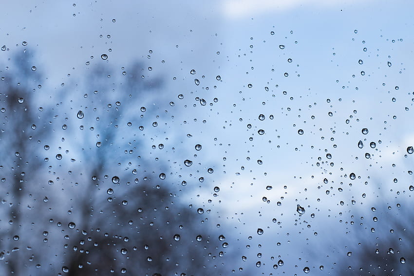 雨, しずく, マクロ, 湿った, ぼかし, 滑らかな, ガラス, 窓, 湿った 高画質の壁紙