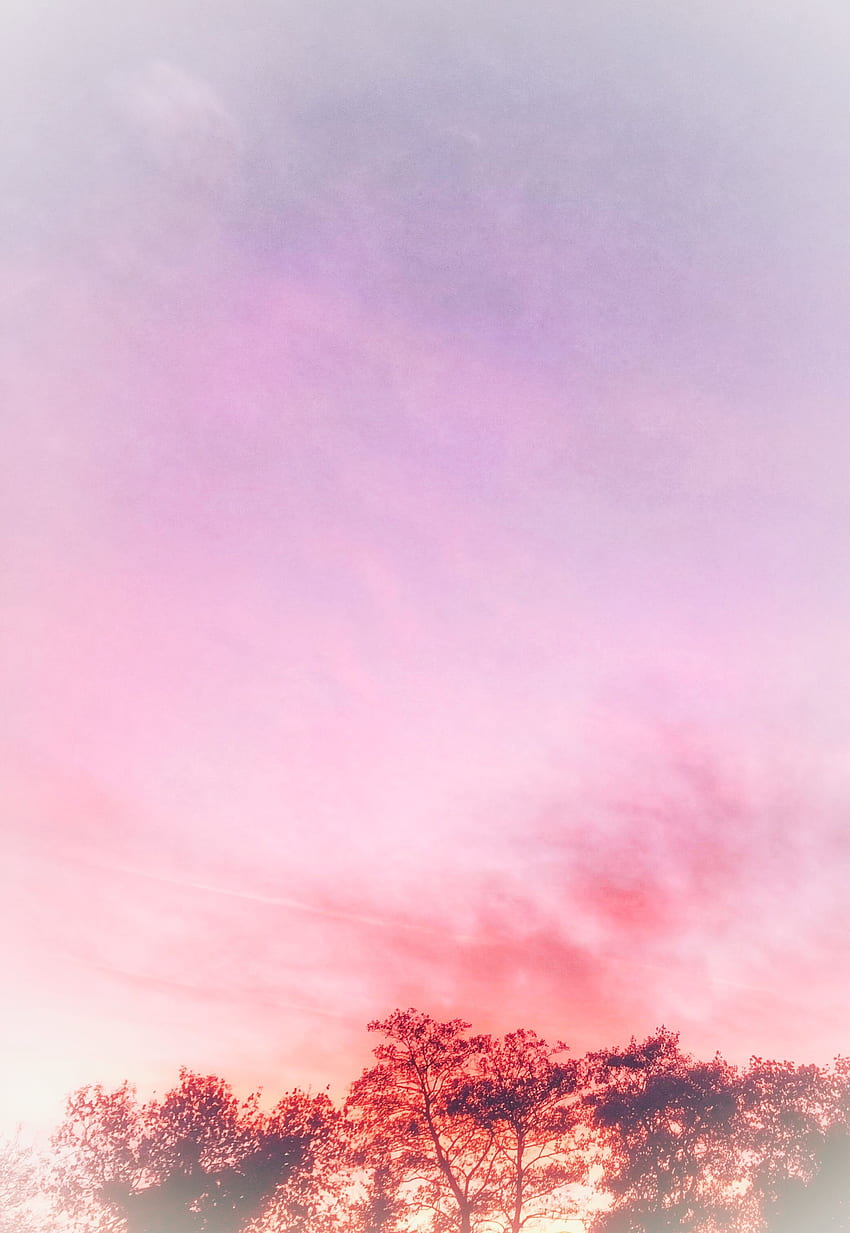 Sunsets. Pink sunset, background, Pink sky HD phone wallpaper
