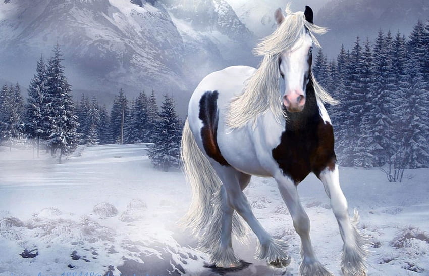 Wild Thing, Tiere, Weiß, Grafik, Schnee, Pferde HD-Hintergrundbild