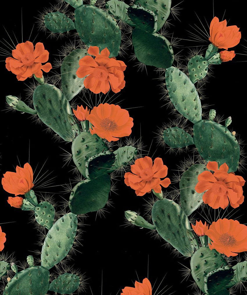 Cactus. Aztèque, Mexique, Conception de cactus, Mexique Cactus Fond d'écran de téléphone HD
